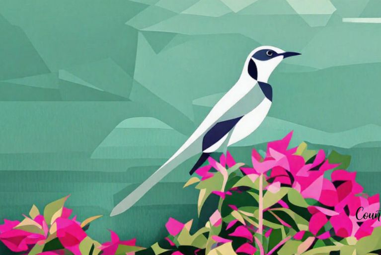 The Northern Mockingbird: Nature’s Ultimate Mixtape DJ