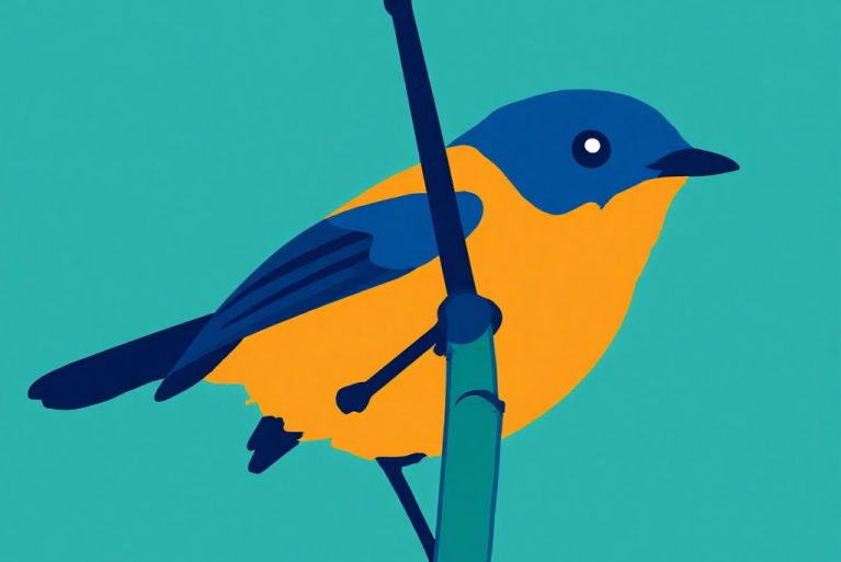 The Black-and-orange Flycatcher – The Tiny Ember of the Hills